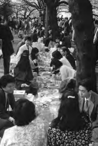 Many people are doing picnic under the trees