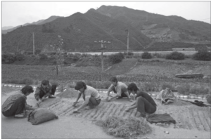 Image of five women working on road side in North Korea