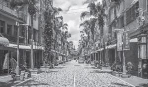 photo of a street with palm trees on either side of it
