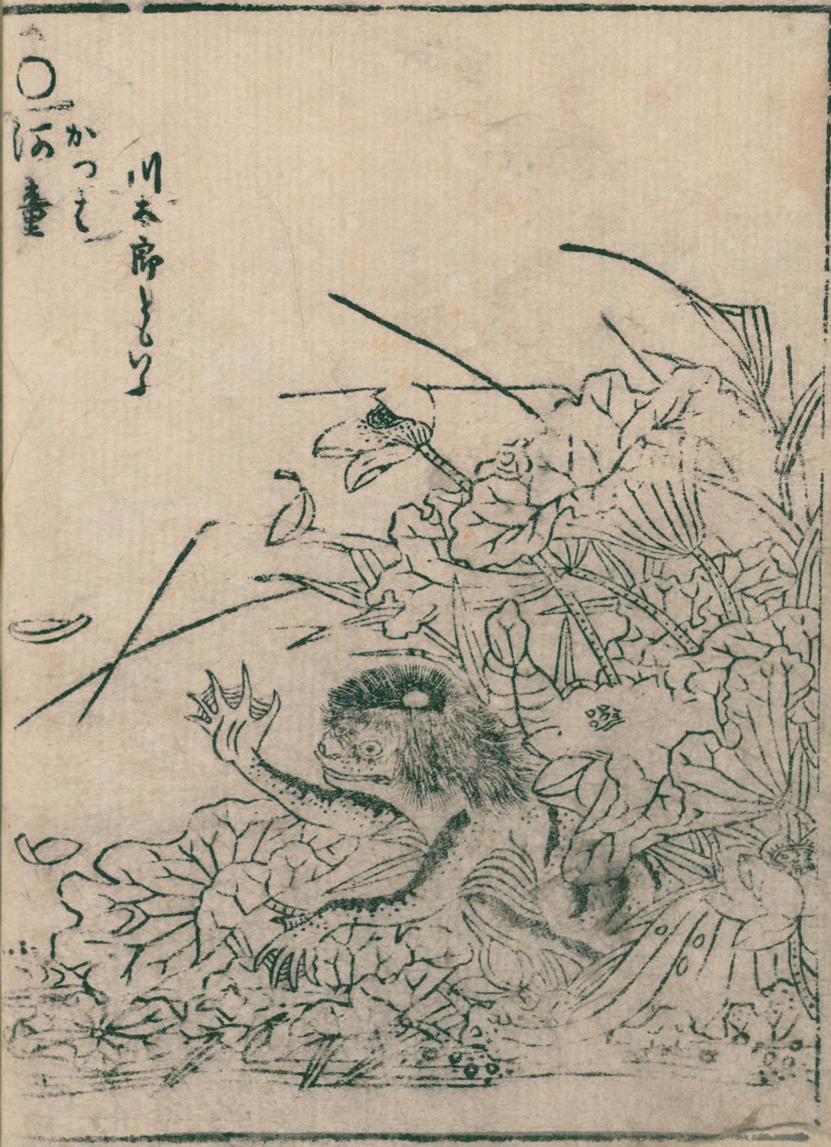 Kappa by Toriyama Sekien, originally created in 1776.