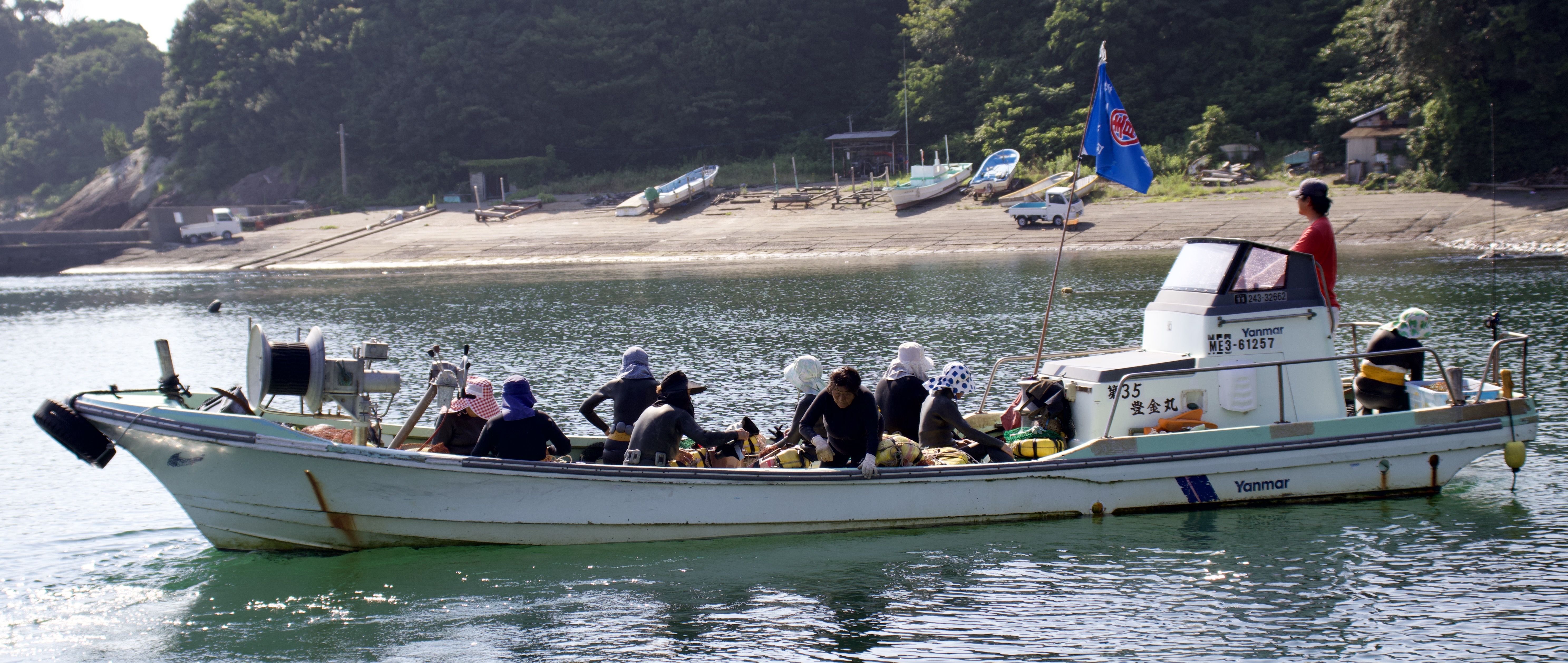A group of ama setting out for a day of diving.