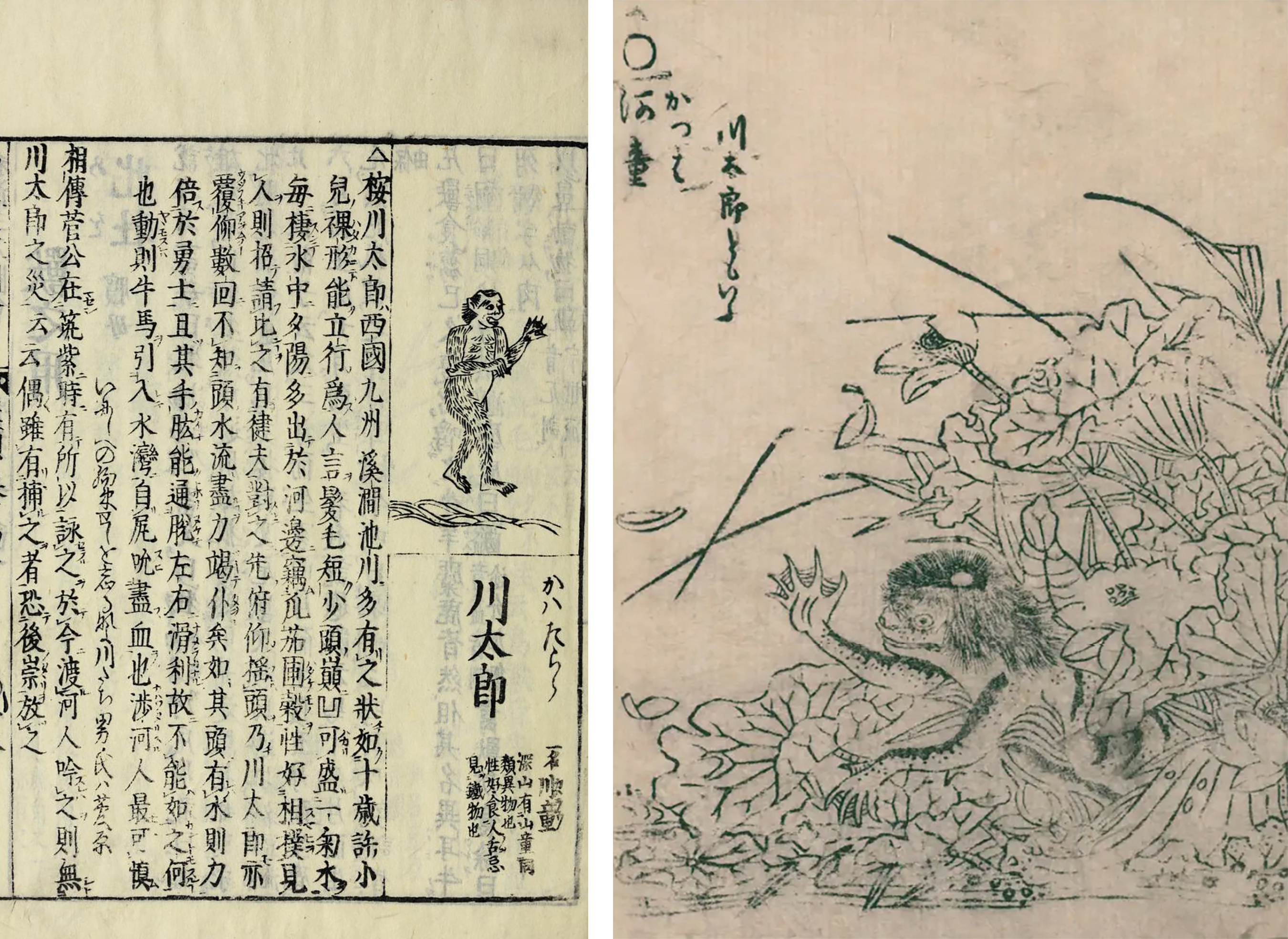 Individual pages, featuring the river spirit Kawatarō (also known as “Kappa”) from Terajima Ryōan’s encyclopedia, Wakan Sansai Zue