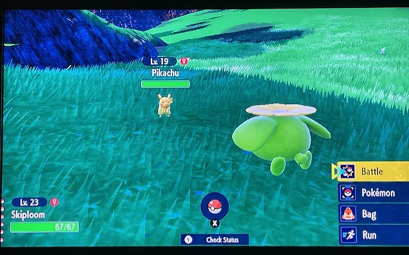 The player's Skiploom encounters a Pikachu in the wilds of Pokémon Scarlet.