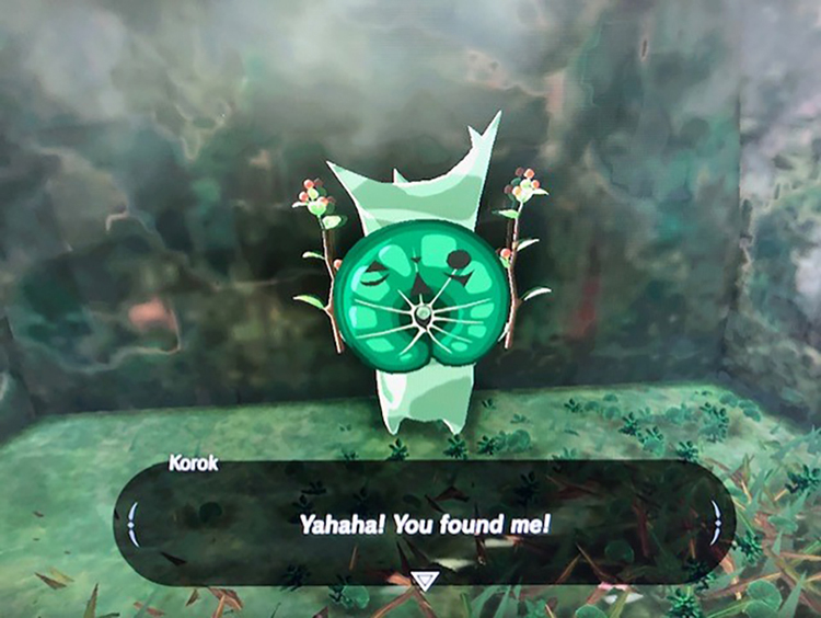 Figure 6. A korok from The Legend of Zelda: Breath of the Wild.
