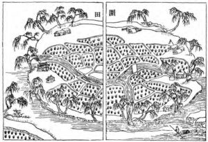illustration of a poldered field