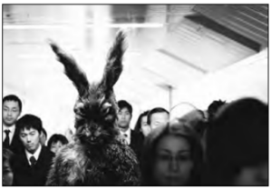 Film scene of an animal in the crowd